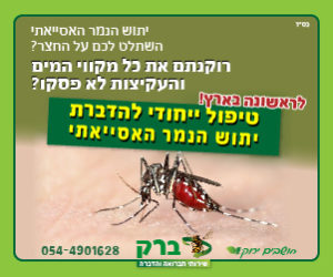 הדברת יתוש הנמר האסייאתי