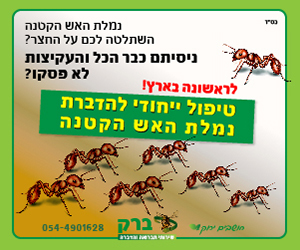 טיפול ייחודי להדברת נמלת האש